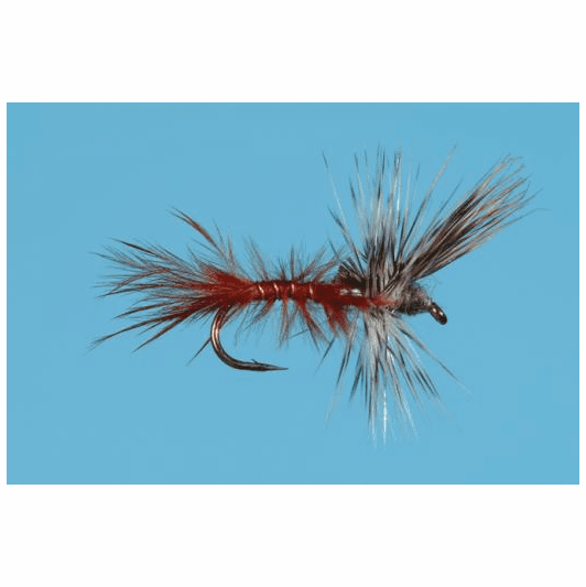 caddis fly Cripple Callibaetis