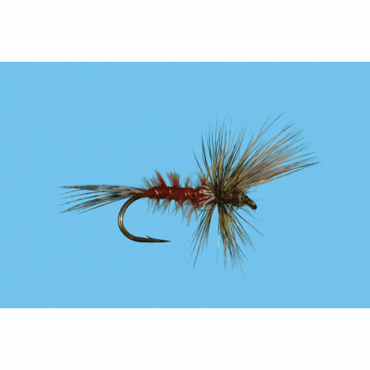 caddis fly Crippled Green Drake
