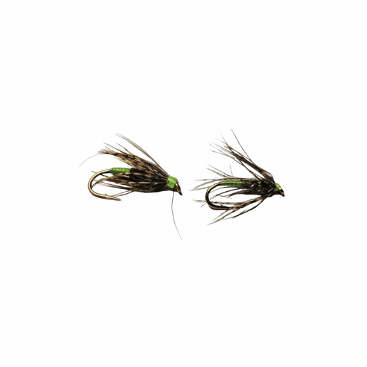 caddis fly Dally's Tailwater Soft Hackle