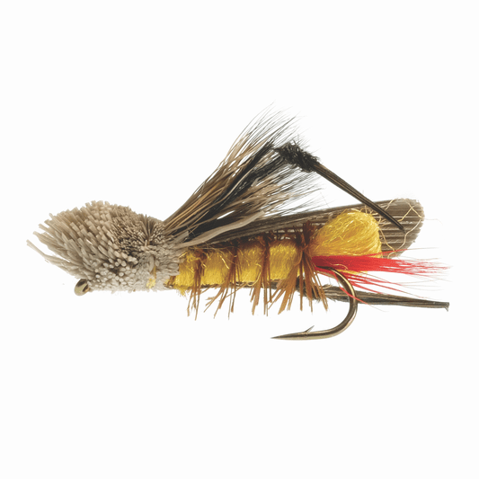 caddis fly Dave's Hopper