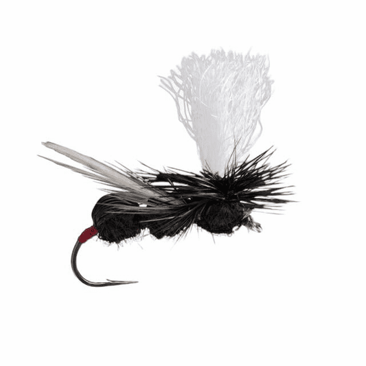 caddis fly Deer Hair Ant