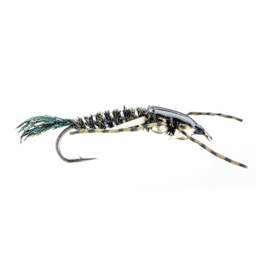 Caddis Fly Double Bead Epoxyback Peacock