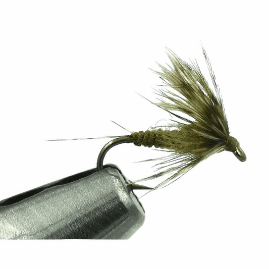 caddis fly Drymerger Baetis