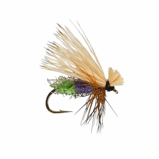 caddis fly Egg Laying Caddis