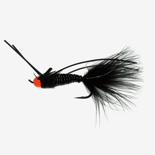 caddis fly Egg Sucking Stone