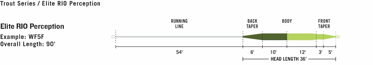 caddis fly Elite Perception Fly Line