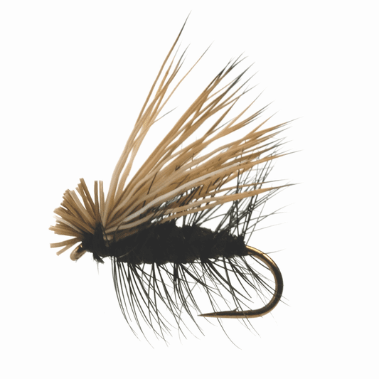 caddis fly Elk Hair Caddis Black