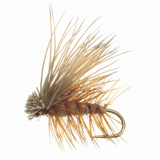 caddis fly Elk Hair Caddis Brown