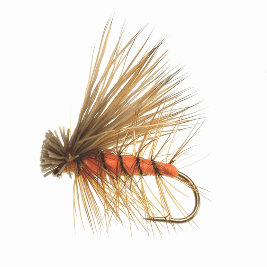 Caddis Fly Elk Hair Caddis Orange