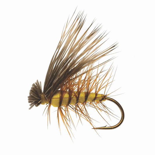 caddis fly Elk Hair Caddis Yellow