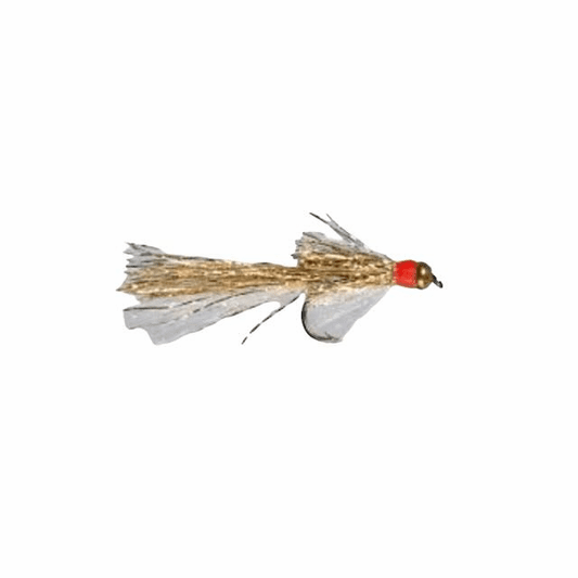 caddis fly Empie's Deadly Shiner