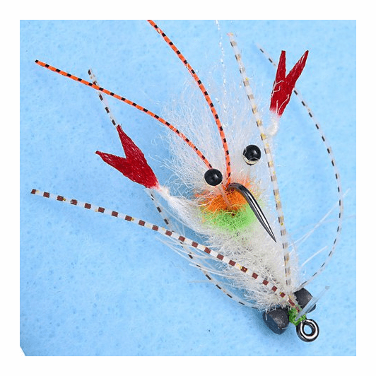 Caddis Fly EP Scampi Fly