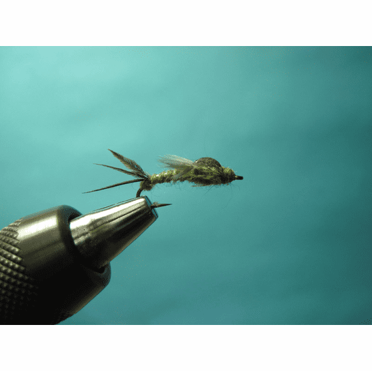 caddis fly Epoxy Back Callibaetis Nymph