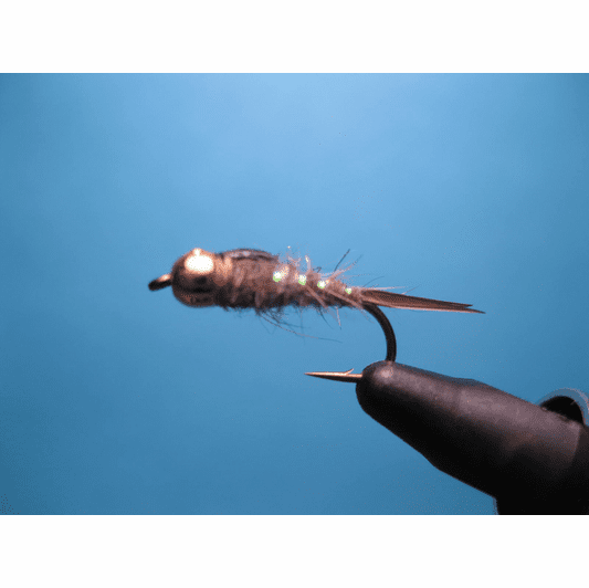 caddis fly Epoxy GB Hare's Ear