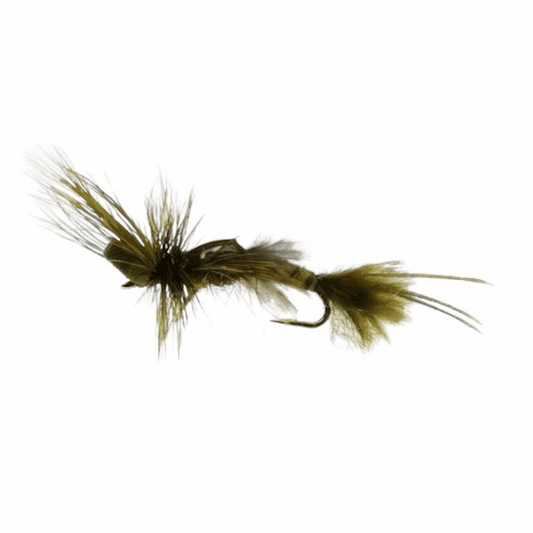 caddis fly Epoxyback Green Drake Emerger