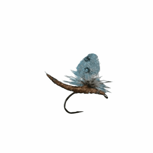 caddis fly Extended Body Callibaetis