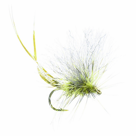 caddis fly Extended Body Green Drake