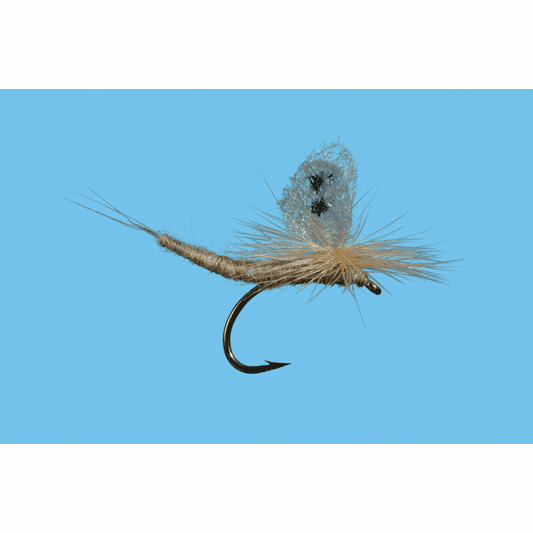 Caddis Fly Extended Body March Brown