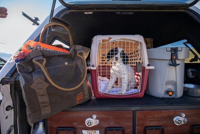 caddis fly Fishpond Horse Thief Tote