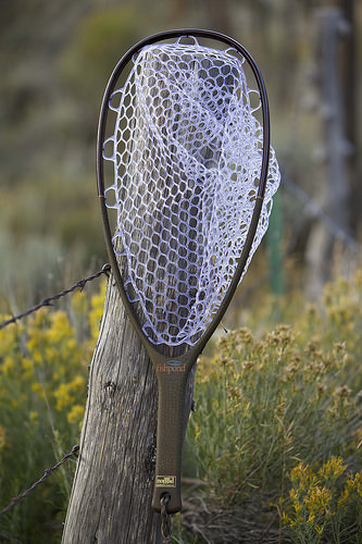 caddis fly Fishpond Native Landing Net