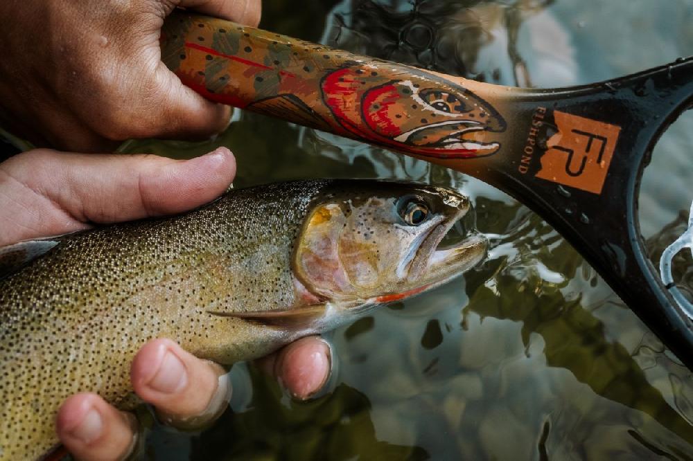 Caddis Fly Fishpond Nomad Canyon Net