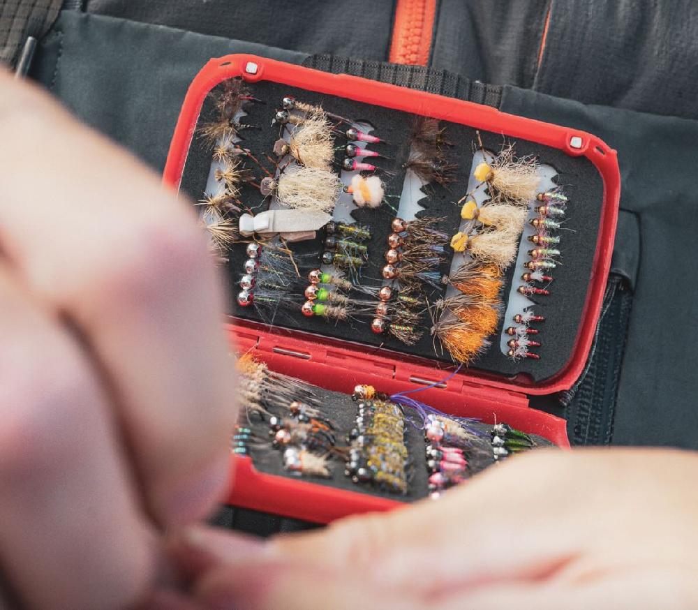 Caddis Fly Fly Patch