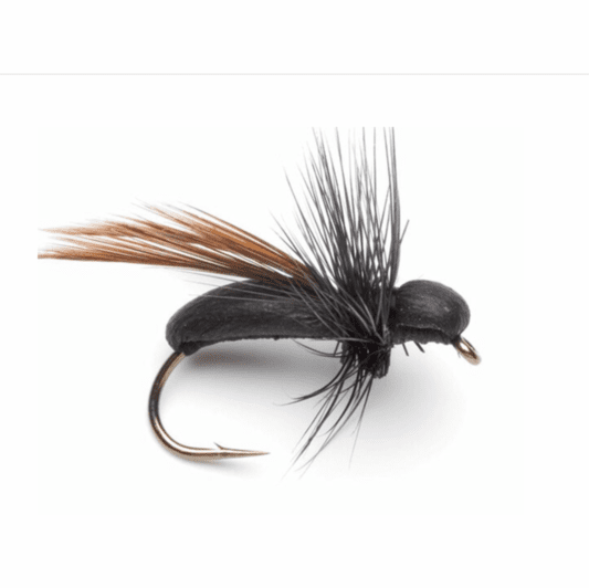 caddis fly Foam Carpenter Ant