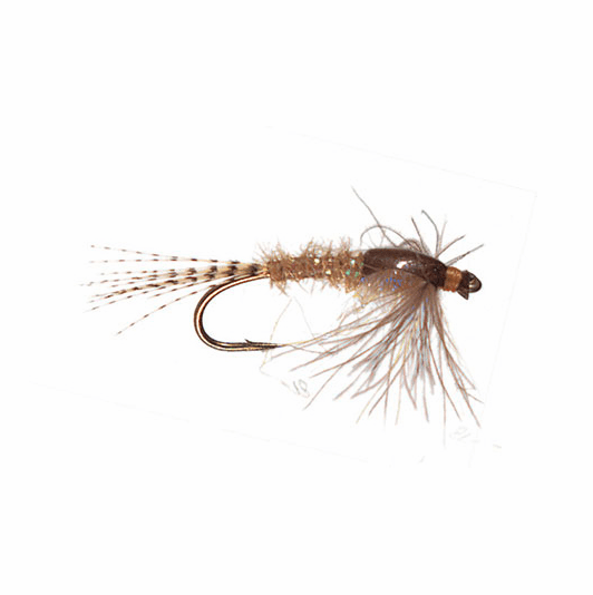 caddis fly Foisset's UV Callibaetis