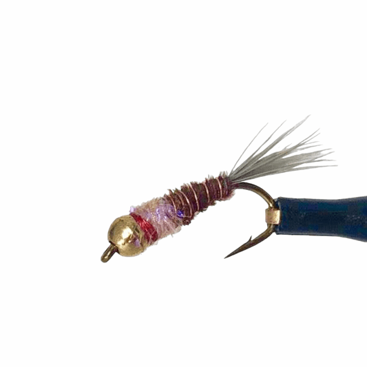 caddis fly Frenchie