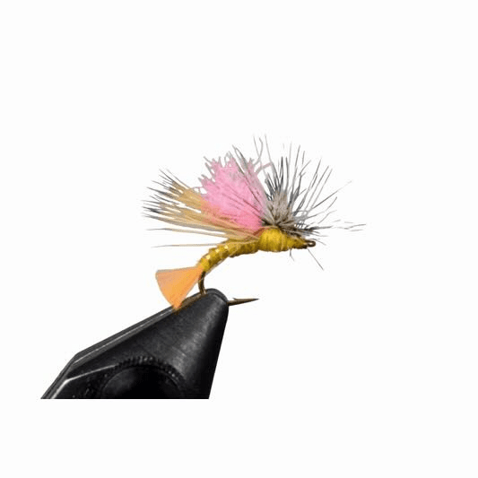 caddis fly Front End Loader