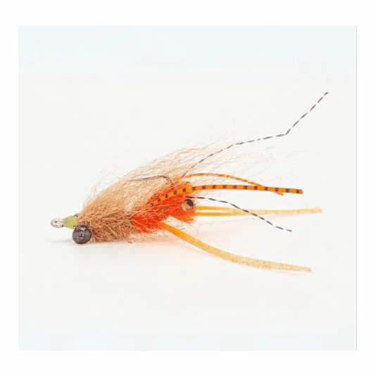 caddis fly FS Squimpish Shrimp