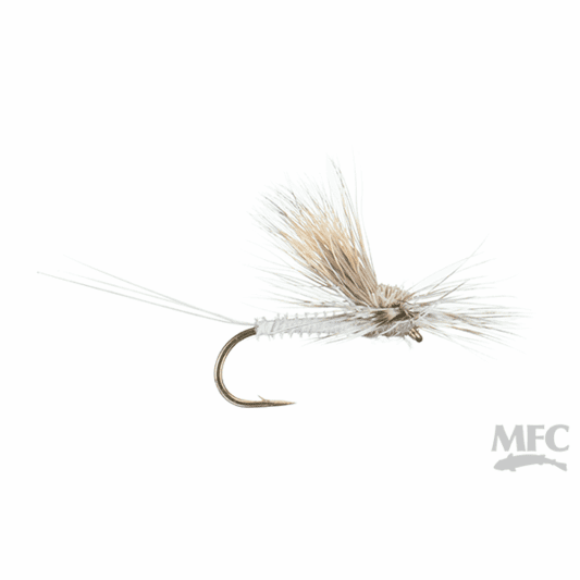 caddis fly Galloup's Tilt Wing