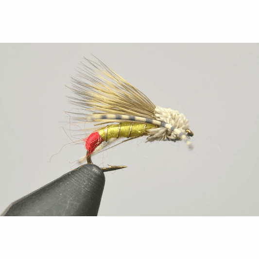 caddis fly Galloup's Working Girl fly