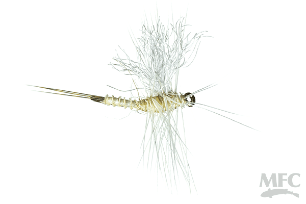 Caddis Fly Galloups OG Bent Cripple