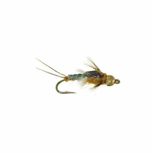 Caddis Fly Gold Bead Poxyback PMD