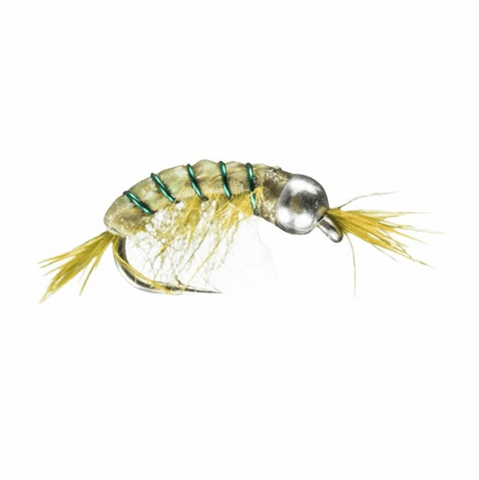 caddis fly Gold Bead Scud