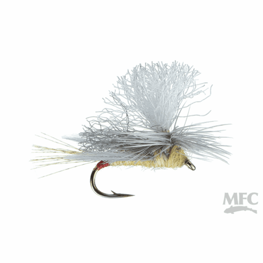 caddis fly Goldie Hawn