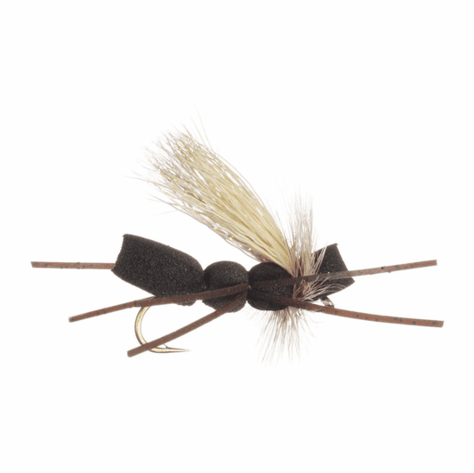 caddis fly Gorilla Cicada