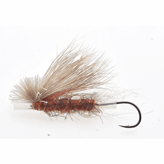 caddis fly Grantham Sedge Waker Fly