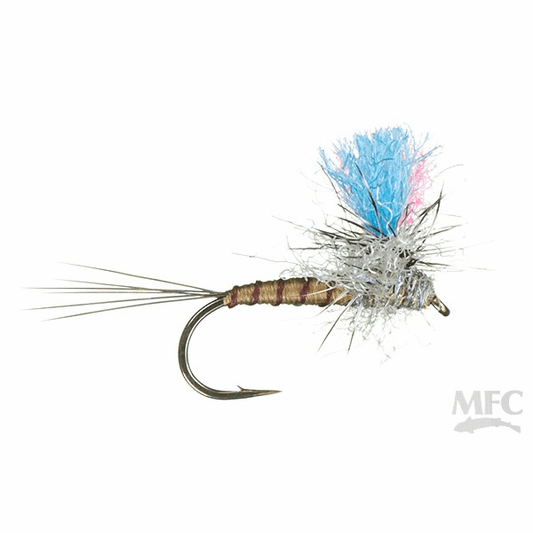 caddis fly Guide Winna Spinna