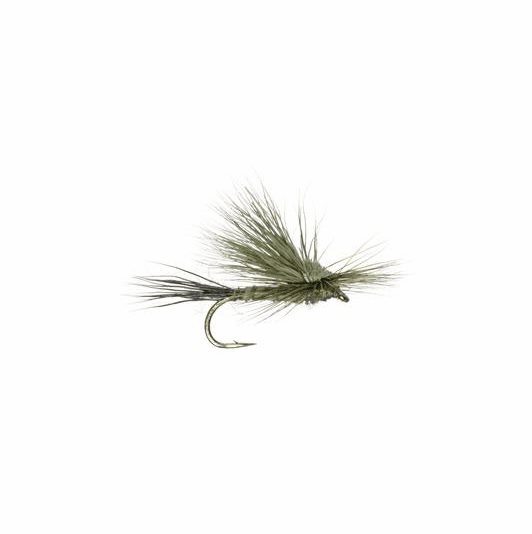 caddis fly Gunnison Green Drake Dry Fly