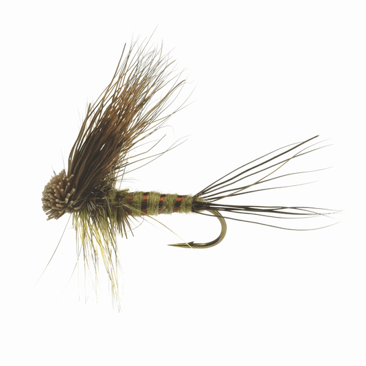 caddis fly Hairwing Dun Green Drake
