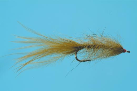 caddis fly Hale Bopp Leech