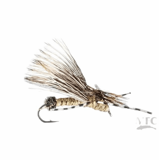 caddis fly Half Down Golden