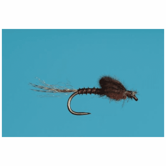 Caddis Fly Harrop's Captive Mahogany Dun