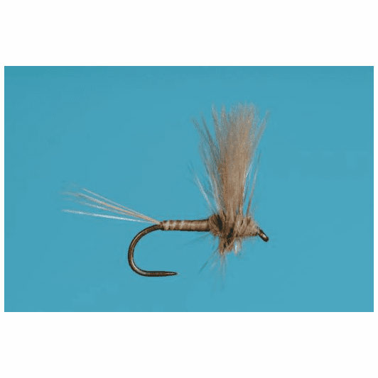 caddis fly Harrop's CDC March Brown
