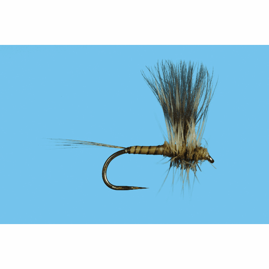caddis fly Harrop's CDC Thorax Green Drake