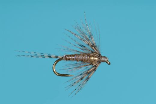 caddis fly Harrop's Soft Hackle Thorax Bead