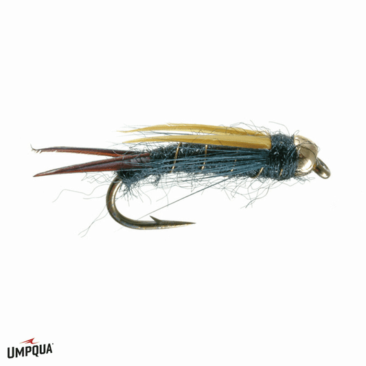 caddis fly Hart's Dark Lord Nymph