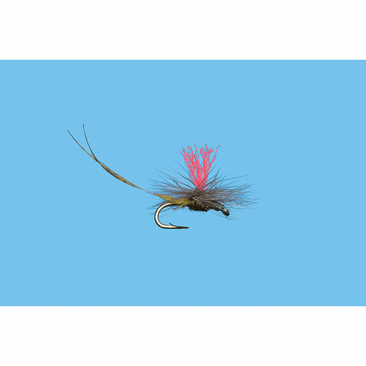 caddis fly Hatch Matcher BWO
